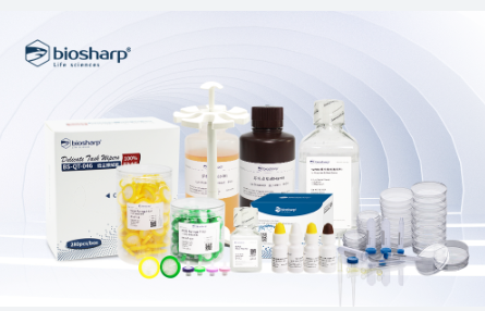 BS165-10g 胶原酶IV型Collagenase IV 2-8度