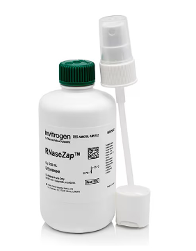 RNaseZap RNase 去污溶液