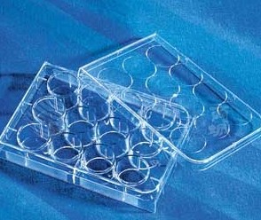 12孔透明标准板, TC表面, 灭菌, 单独包装, 1个/包, 50包/箱