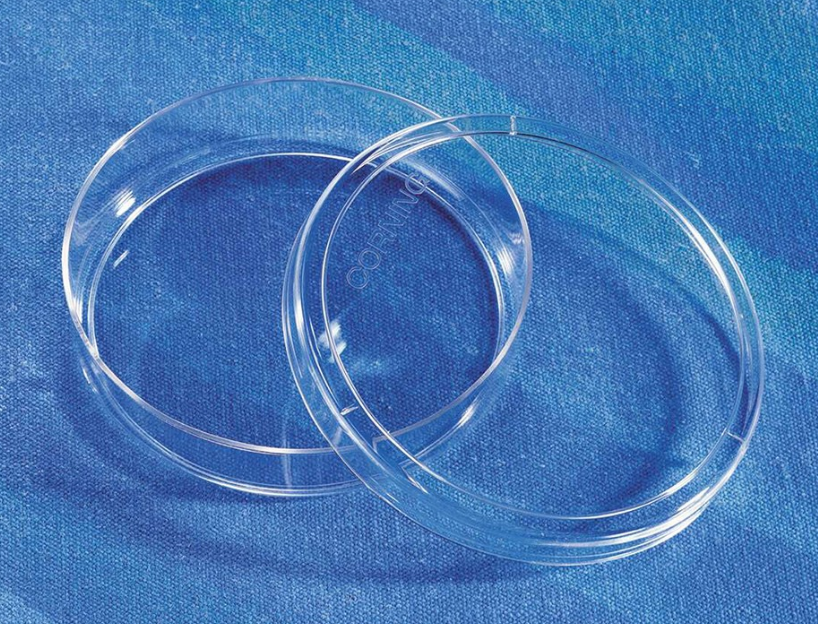 DISH,100X20MM,TCT,PS,S,BK,20/5 培养皿100X20MM TC表面 PS（聚苯乙烯）材质 灭菌 大包装
