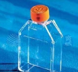 FLASK,25CM,CANT,VENT,PS,S,20/2 培养瓶 25cm² 直角斜颈（正方斜口） 透气盖 PS（聚苯乙烯）材质 灭菌 大包装