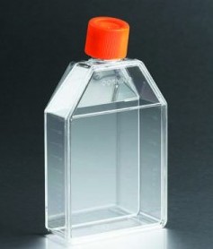 培养瓶，75cm2，直角斜颈（正方斜口），密封盖，PS（聚苯乙烯）材质，灭菌，大包装，5个/包，20包/箱