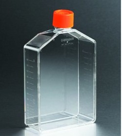 培养瓶，175cm2，直角角度颈，密封盖，PS（聚苯乙烯）材质，灭菌，散装，5个/包，10包/箱